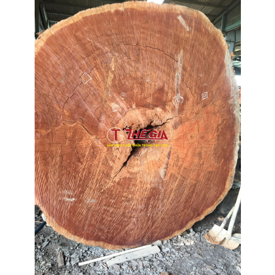 Trống Chùa 2 -Cơ Sở Trống Thế Gia 