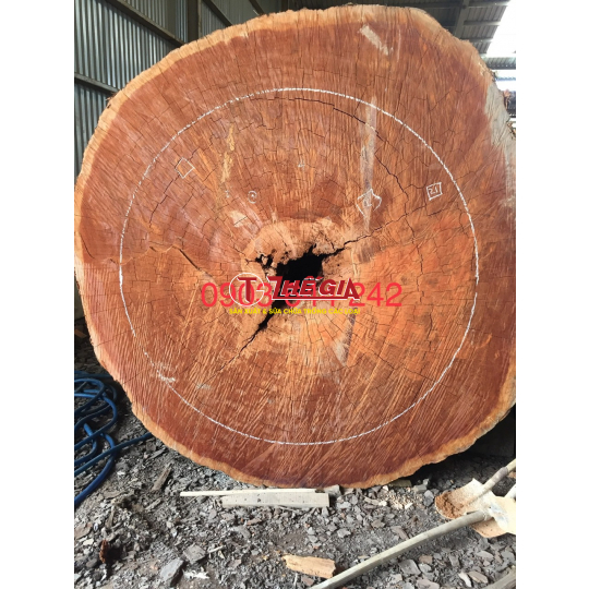 Trống Chùa 2 -Cơ Sở Trống Thế Gia 