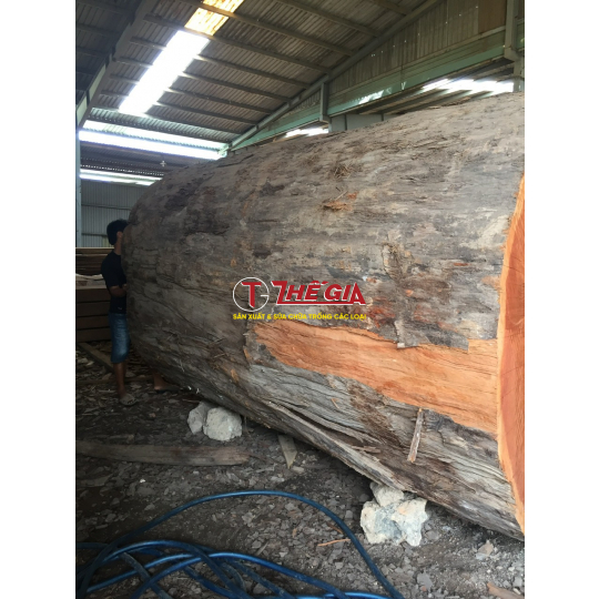 Trống Chùa 2 -Cơ Sở Trống Thế Gia 