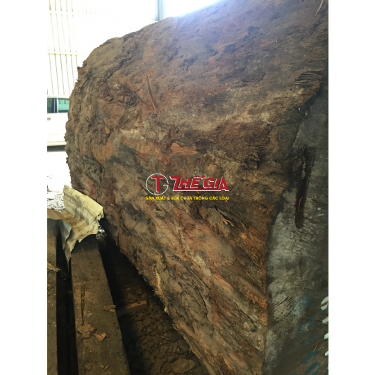 Trống Chùa 2 -Cơ Sở Trống Thế Gia 